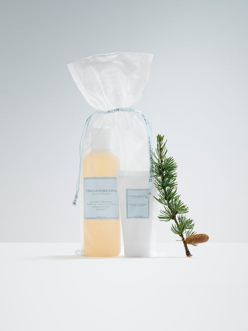 Bath & Shower Ginger Christmas Set